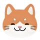 合租猫